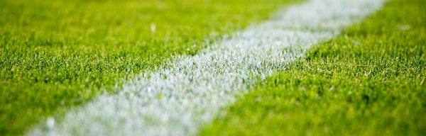 Depoimento de Craques